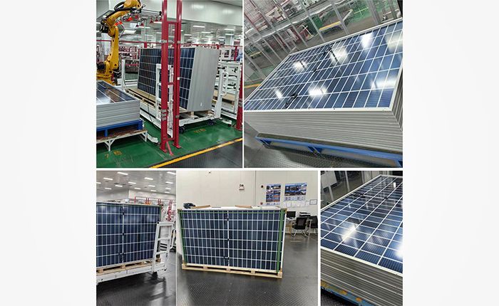 ZW550W Solar Panels