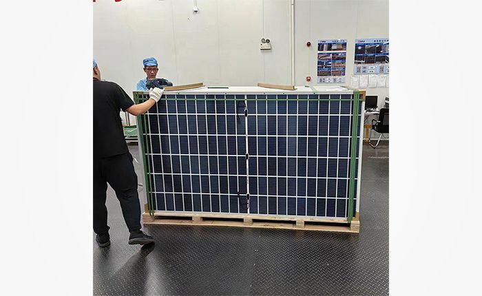 ZW550W Solar Panels